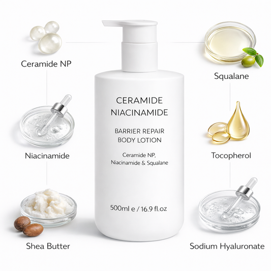 Ceramide body lotion key ingredients with Ceramide NP niacinamide squalane and panthenol